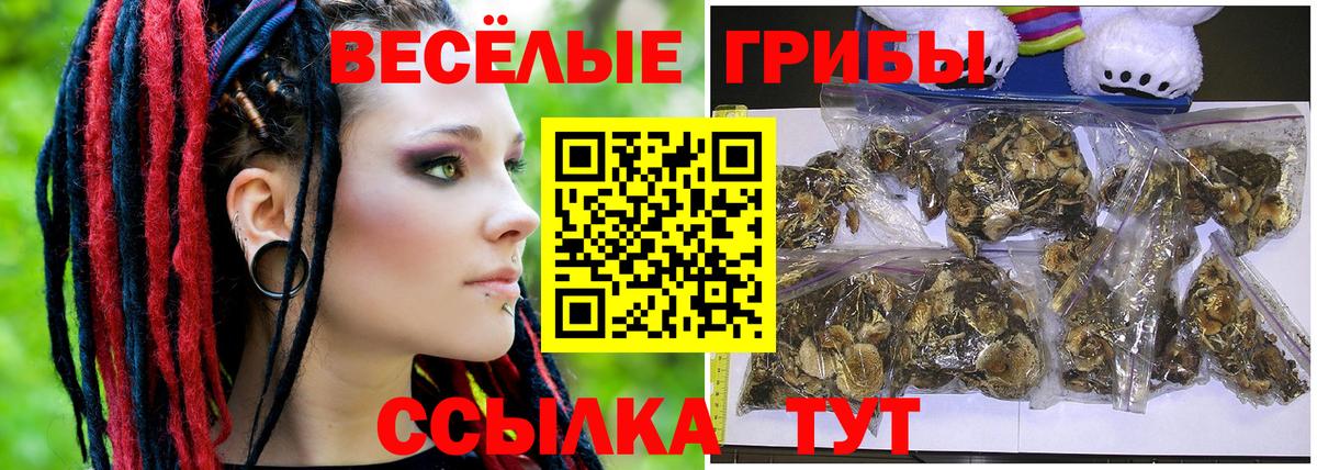 Псилоцибиновые грибы Psilocybine cubensis  Вход с VPN  Новоалександровск  Галлюциногенные грибы Cubensis 