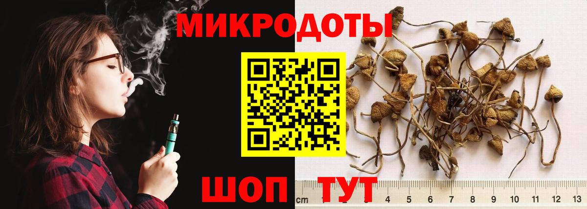 Галлюциногенные грибы Magic Shrooms Новоалександровск