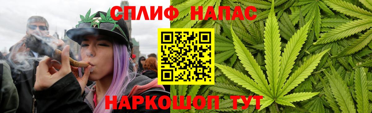 Бошки марихуана White Widow  Шишки марихуана марихуана  Новоалександровск  Шишки марихуана Amnesia  Вход с VPN 